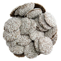 NASSAU CANDY DARK CHOCOLATE NONPAREILS WITH WHITE SEEDS