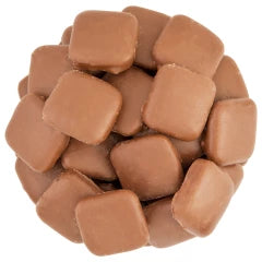 NASSAU CANDY MILK CHOCOLATE MINI GRAHAM CRACKERS