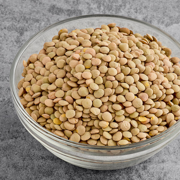 Dried Lentil Beans - 20 lb.